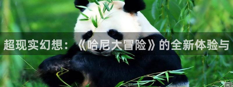 歪歪漫画sss韩漫画在线观看